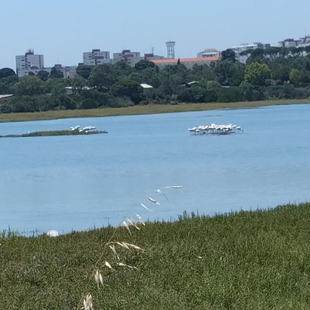 Alojamento Local, Cantinho Verde Corroios Dış mekan fotoğraf