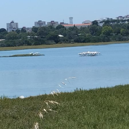 Alojamento Local, Cantinho Verde Otel Corroios Dış mekan fotoğraf